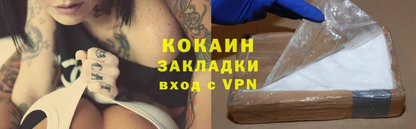 трава Арсеньев
