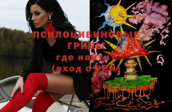 трава Арсеньев