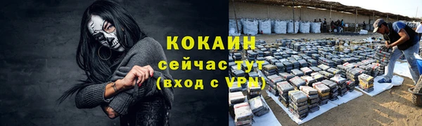 трава Арсеньев